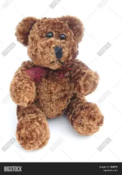 Teddy Bear